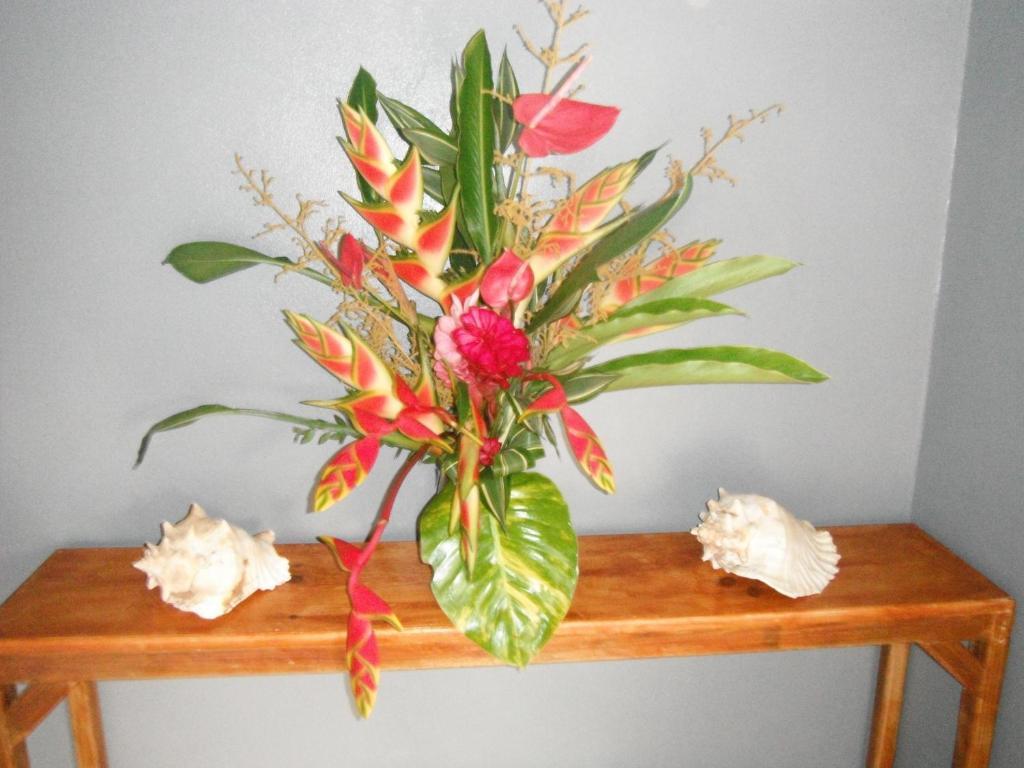 Classique International In Dominica Marigot Rom bilde